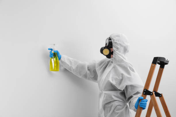 Best Commercial Mold Inspection  in Pukalani, HI